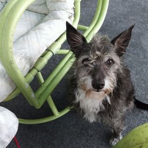 Meet your Posher, Kevin